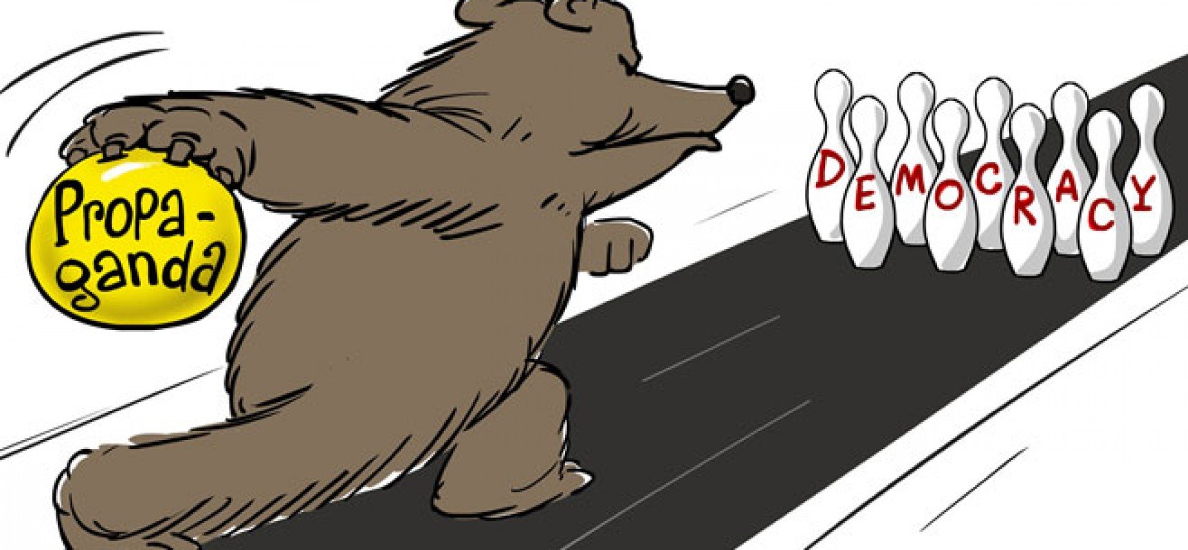 5577-08-bear_bow-1728x800_c.jpg