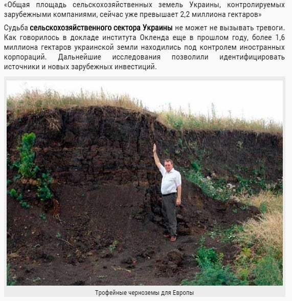 Скриншот сайта planetatoday.ru