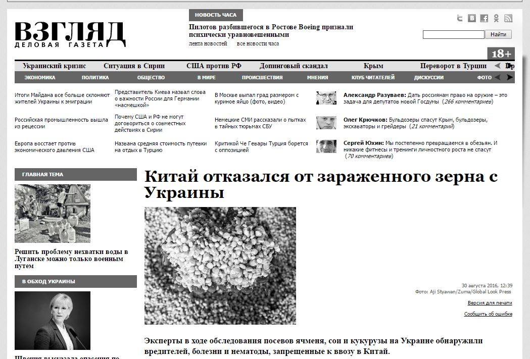 Website screenshot Vzglyad