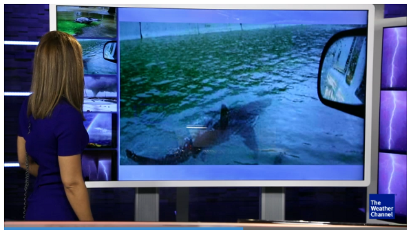 Not this shark again — The Weather Channel social media debunk segments that unfortunately don’t use the visual displacement technique or any visual disclaimer at all. It seems likely that many folks (perhaps with the audio turned down, or glancing up in an airport) might have gotten the wrong impression about this shark photo, a perennial hoax