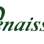 IRF_logo_ENG_curves