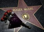 Flowers+Placed+Hollywood+Walk+Fame+Star+Roger+xtIEBs4zrt3l