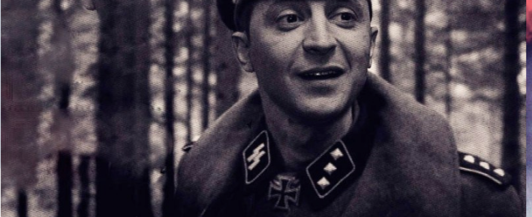 Зига смайлик. Адольф гитлер обезьяна. Комик зиг. Зеленский гитлер. Мемный адольф гитлер.