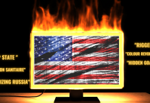 Pro-Kremlin Media On Us Elections: From Amplifying Disinformation To Influencing The Perception Of The Vote