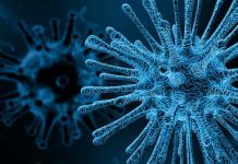 Russia’s coronadiplomation, i.e. using the pandemic in the foreign policy