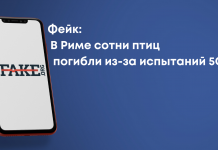 Фейк: У Римі сотні птахів загинули через випробування 5G