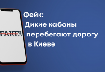 Фейк: Дикі кабани перебігають дорогу в Києві
