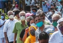 Covid, Cows and Politics: How a Vaccine Falsehood Spread in India