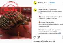 Фейк: В Украине было обнаружено ядовитое насекомое-убийца