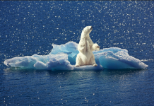Vliv dezinformací na debatu o klimatické změně