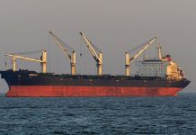 Фейк кремлевских СМИ: «Азов» силой удерживал в порту Мариуполя болгарское судно «Царевна»