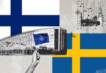 Nato Salesman Of The Year Is Surprised By His Own Efficiency