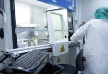 Kremlin’in Korku Oyunu