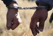 Ліки від імперської клептоманії: дайджест пропаганди РФ за 5 липня