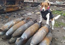 Savaşın 5 ayında Rus propagandasının özeti