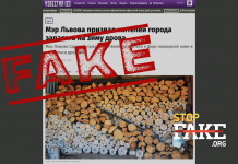 Manipulation: Le maire de Lviv a invité les résidents de la ville faire des réserves de bois pour l’hiver