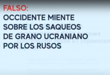 Falso: Occidente miente sobre los saqueos de grano ucraniano por los rusos