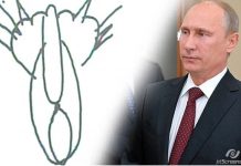 70 років Путіна українському коту під хвіст: дайджест пропаганди за 6 жовтня