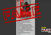 Фейк: Украинские беженцы «обманули британку, продав ей фейкового кота-сфинкса»