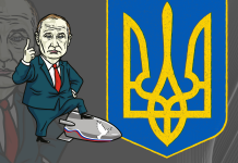 The Little Tractor That Could