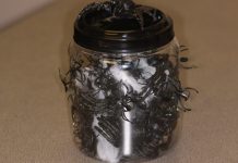 Павуки у путінській банці гризуть один одного: дайджест пропаганди за 17-19 лютого