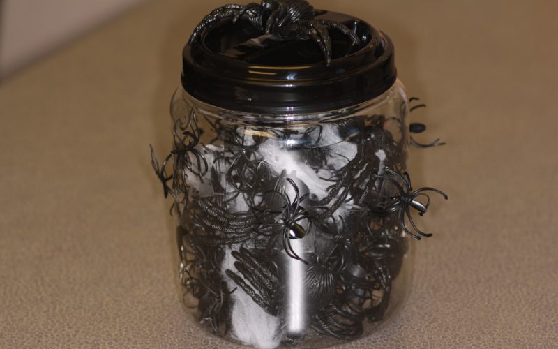 ce76f3b694de58fa45228196bcebac8c-800x500