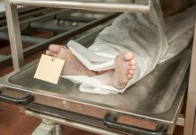 Снова «распятые мальчики»? РИА «Новости» сообщило, что здоровых солдат ВСУ убивают в больнице в Николаеве ради органов