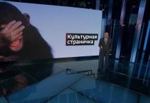Киселев попытался найти подтверждения словам Путина об «издевательствах над детьми» на Западе. Не получилось