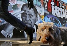 В Росії готують до мобілізації собак і дипломатів: дайджест пропаганди за 17 травня 2023 року