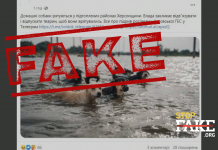 Fake: Bilder von Hunden, Kühen und Schweinen, die vor dem Hochwasser fliehen, stammen aus überschwemmten Gebieten in der Region Cherson