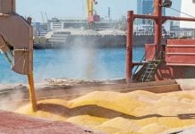 Фейк Владимира Путина: разорванная Россией «зерновая сделка» помогала не бедным странам, а Евросоюзу