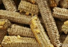 Росія шукає Storm Shadow у відходах кукурудзи: дайджест пропаганди за 4-6 серпня 2023 року