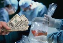 «Вагон украинских сердец»: Мария Захарова придумала леденящий душу фейк о торговле органами в Украине