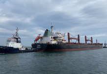 “Sadece %2,5” efsanesi ve Rusya’nın tahıl girişimini değersizleştirmek için kullandığı diğer anlatılar