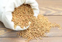 Rosyjska propaganda wykorzystuje polsko-ukraiński spór o zboże