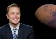Kogo poleca Elon Musk? Ostrożnie z OSINT-em