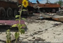 Як довести в суді екоцид України: дайджест пропаганди за 5 грудня 2023 року