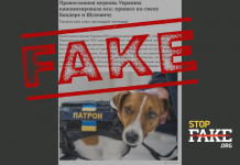 Фейк: ПЦУ канонізувала пса Патрона, також в Україні зареєстрували присвячену йому церкву