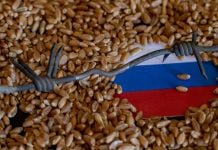 Фейк Марии Захаровой: запрет импорта российского продовольствия станет катастрофой для экономики ЕС