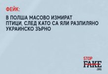ФЕЙК: В Полша масово измират птици, след като са яли разпиляно украинско зърно