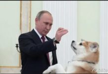 Що веде кремлівську собаку «українським слідом»: дайджест пропаганди за 3 квітня