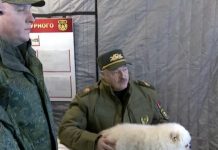 Білорусь знову показує «звідки готується напад»: дайджест пропаганди за 28-30 червня