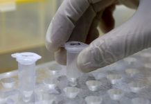 Фейк Первого канала: украинские «нацисты» признались, что в мариупольских биолабораториях работали над генетическим оружием против россиян