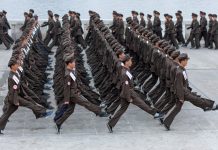 Фейк «Вестей»: США и НАТО опровергли заявления об участии северокорейских войск в войне в Украине