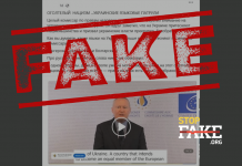 Видеофейк: Комиссар Совета Европы по правам человека раскритиковал «языковые патрули» в Украине