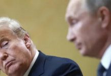 Чому Путін не має ілюзій щодо Трампа: дайджест пропаганди за 6 листопада 2024