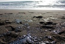 «Грамотно» и «фундаментально»: в крымской прессе уже «победили» мазутное загрязнение