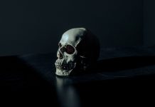 Kremlin’s Disinformation Game: Why Spread Rumors About Putin’s Illness?