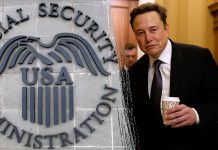 Ілон Маск, мисливець на вампірів. Як видати помилки у базі даних за злочин