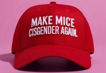Таємниця мишей-трансгендерів: Трамп не зміг правильно прочитати слово «трансгенні»